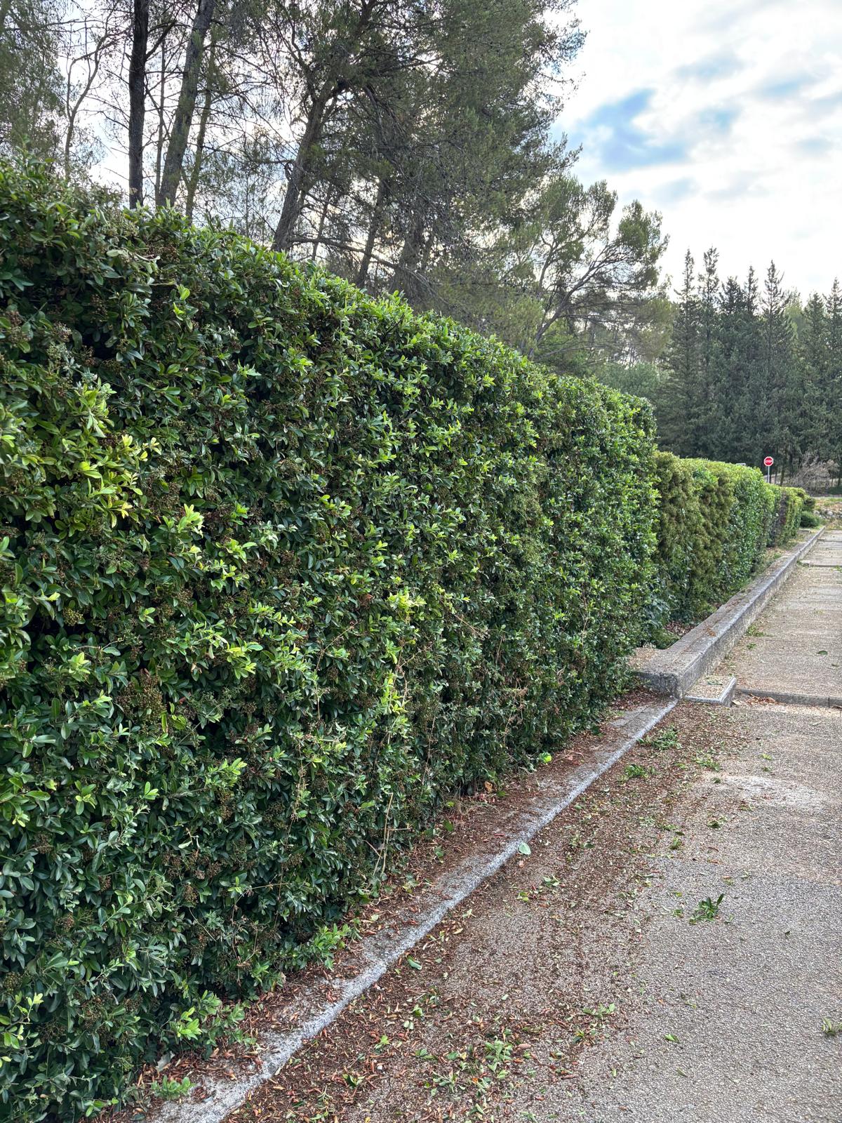 Entretien · Montpellier