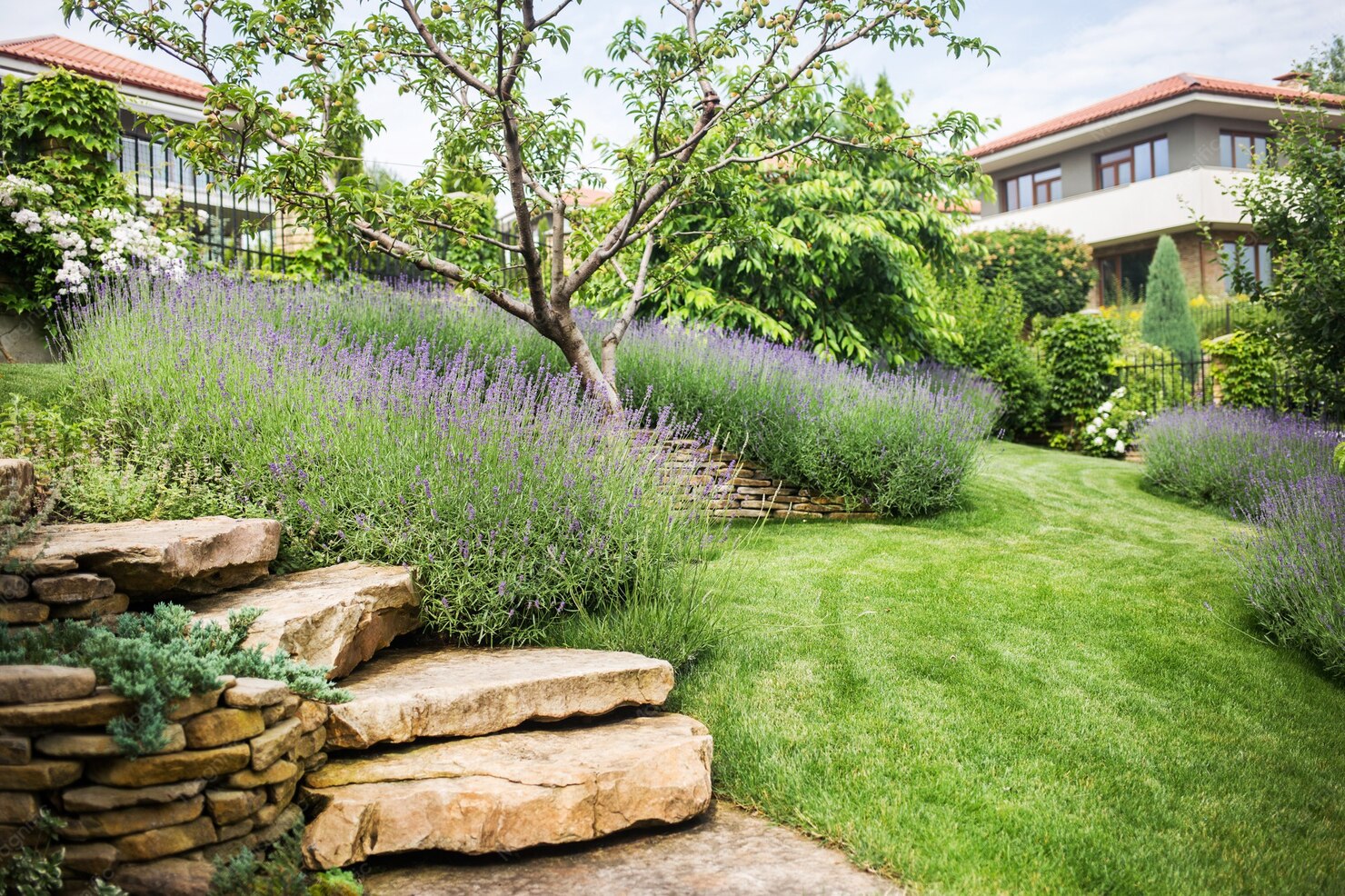 Comment entretenir son jardin dans l'Hérault ?