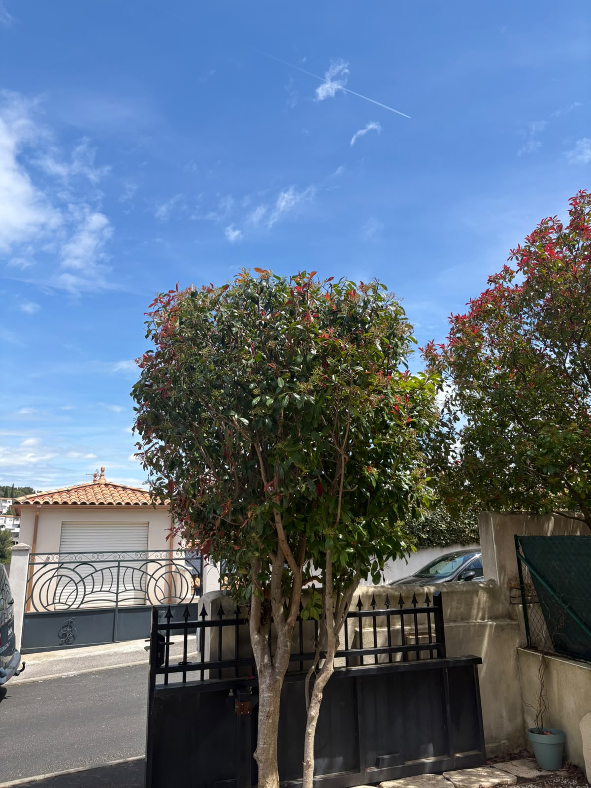 Taille d’arbustes à Juvignac : remise en forme du jardin à Juvignac